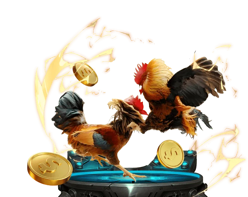 Hoàn trả hàng ngày ev99